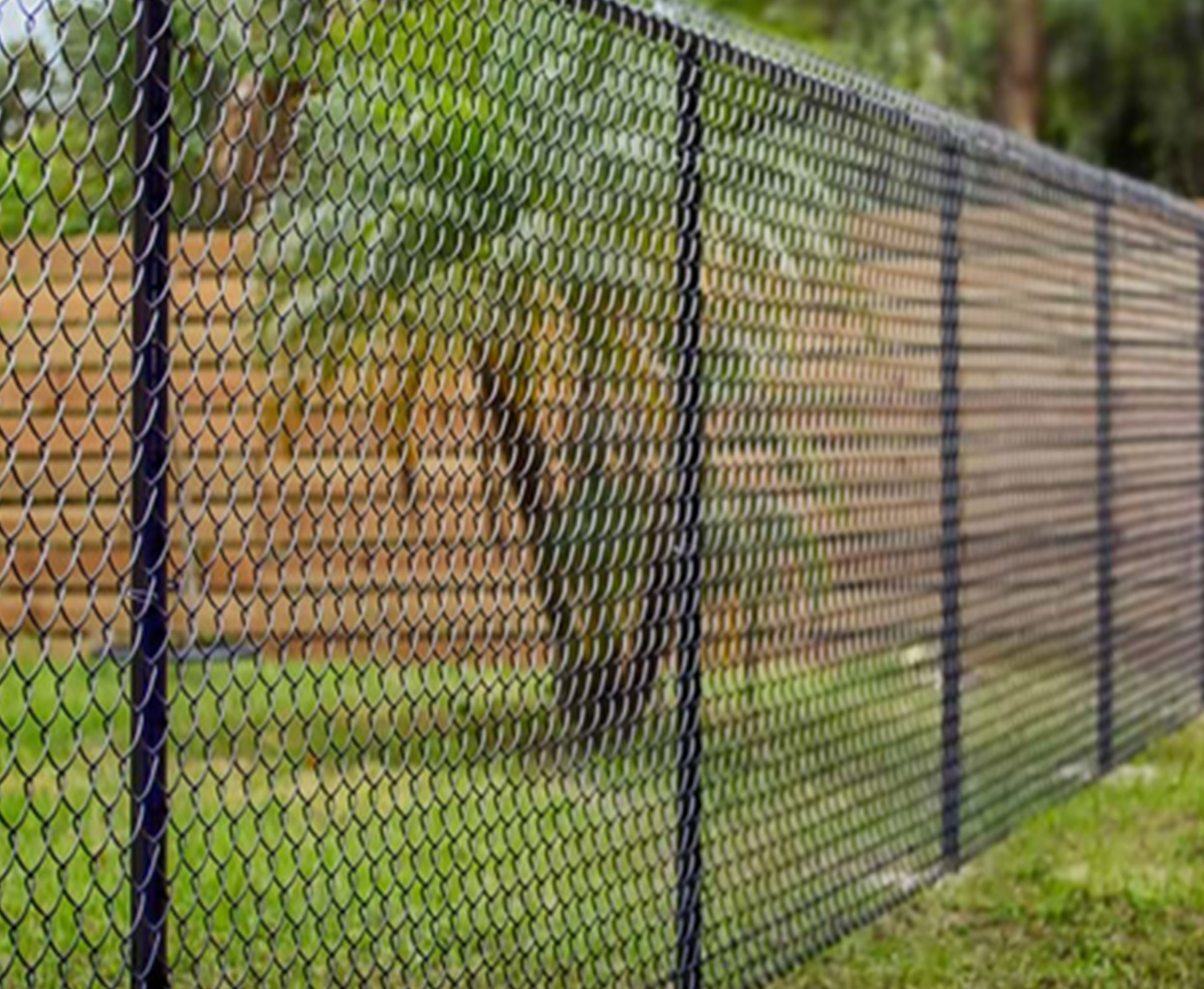Chain-Link-Fencing-img1
