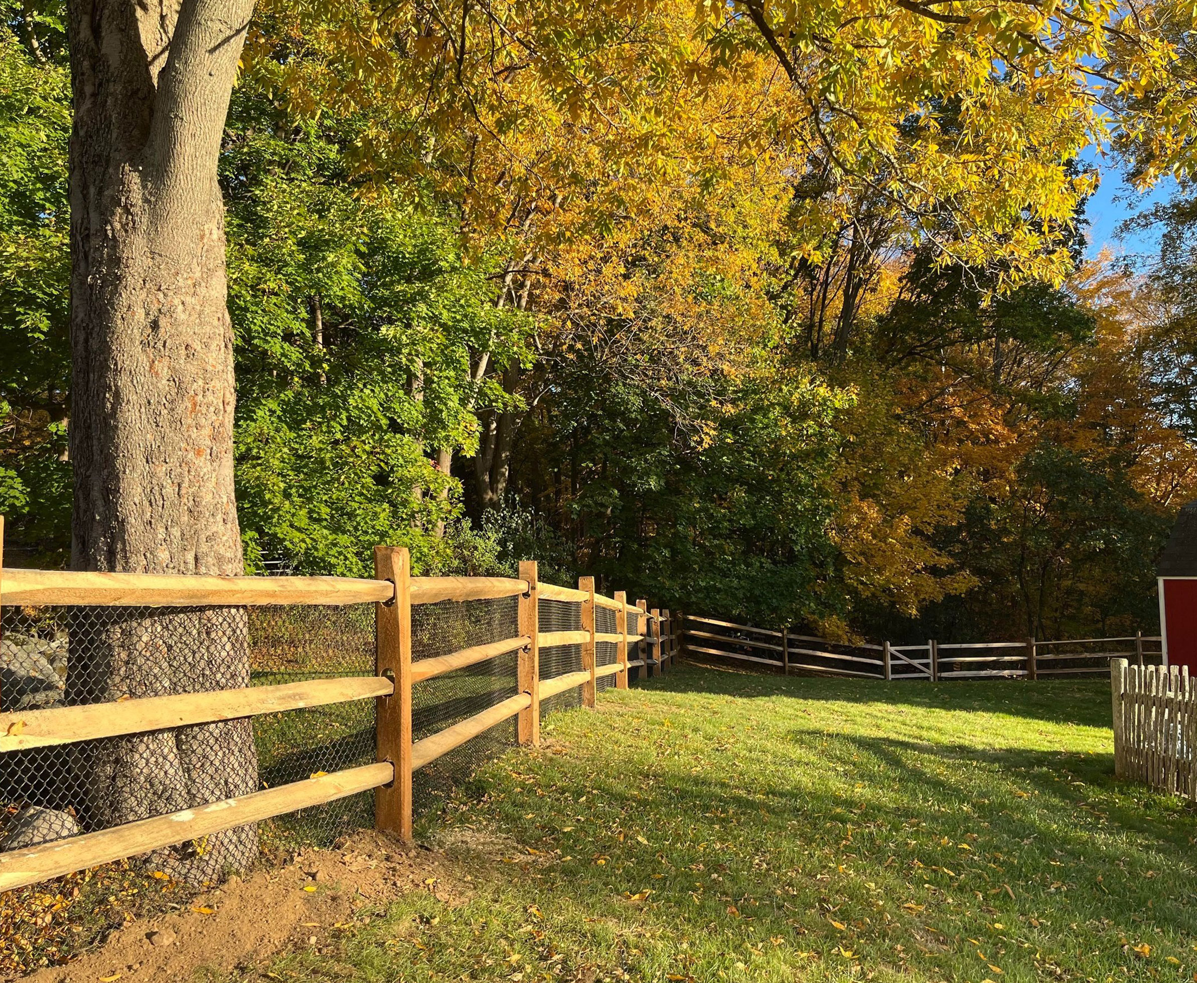 Wood-Fencing-img4