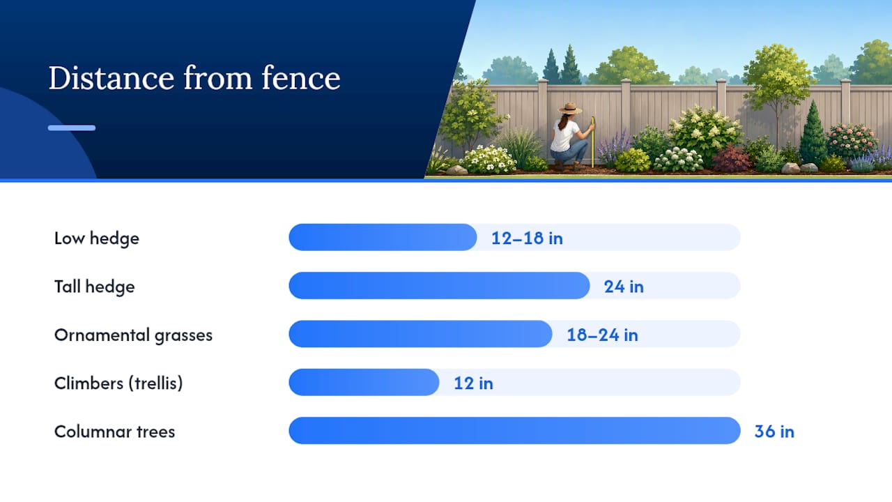 Fence-line plant spacing and placement diagram
