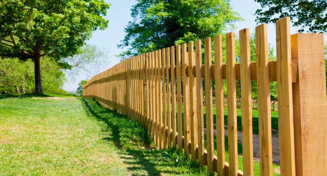 Pallisade-fencing-hero-image.jpg